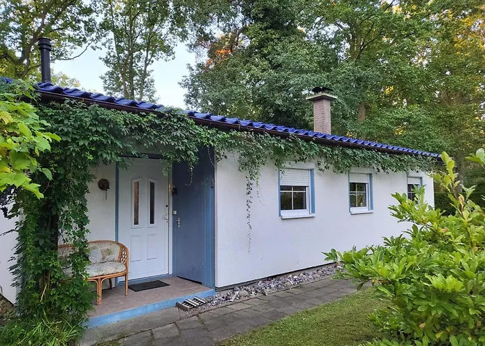 Strandbungalow Wittower Heide 24
